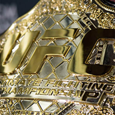 UFC Fight