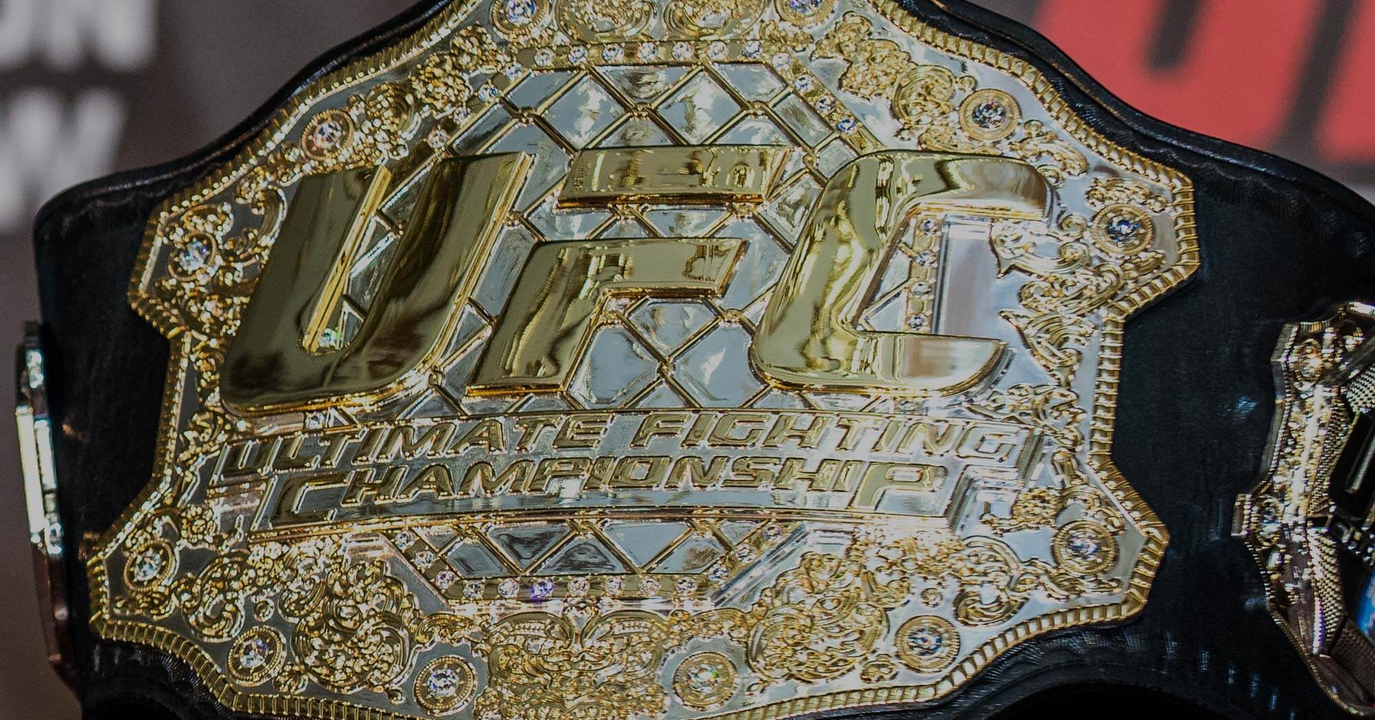 UFC fights