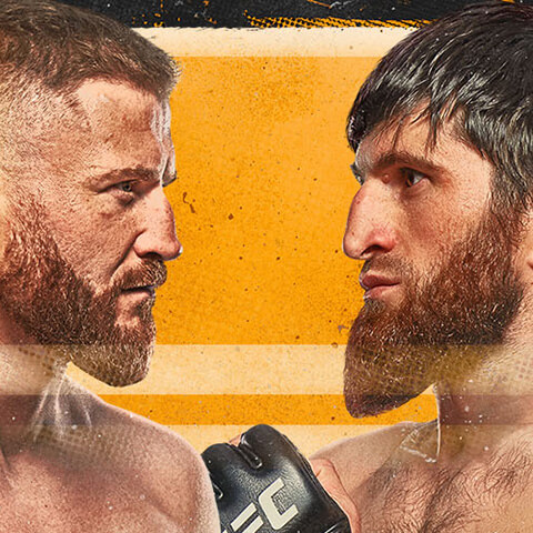 UFC Fight